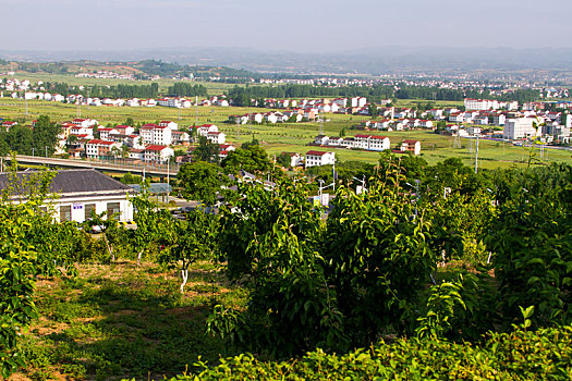 山村