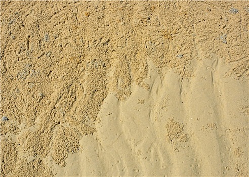 纹理,海滩,螃蟹,标记,波纹,图案,沙子