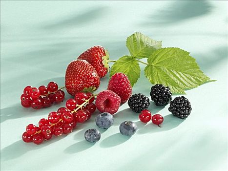 种类,浆果,树莓叶