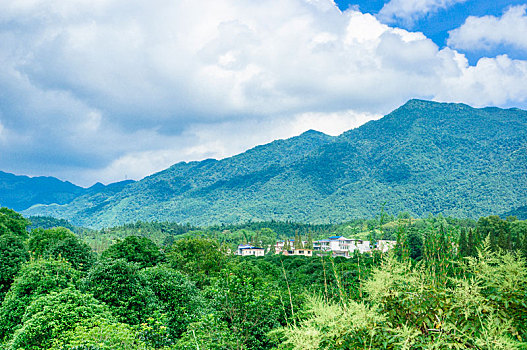 田野风光