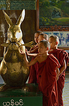 孩子,僧侣,金色,兔子,塔,传说,山,缅甸,亚洲