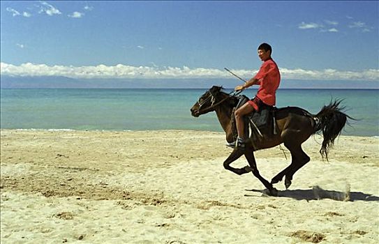 年轻,骑乘,马,哈萨克斯坦