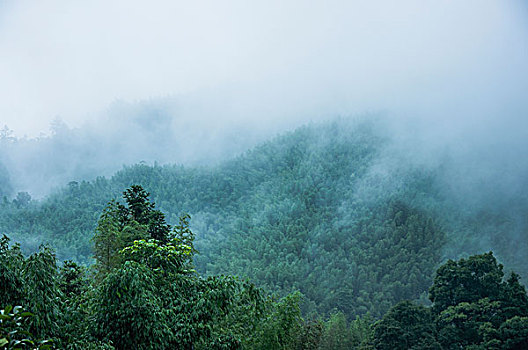 雨雾山景