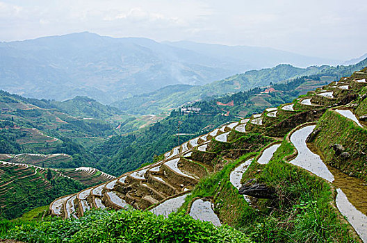 桂林梯田风光