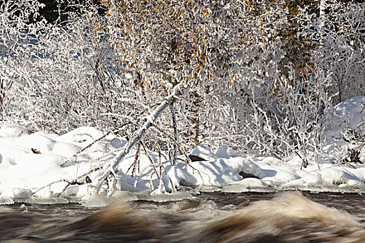 霜,冰雪,河,桑德贝,安大略省,加拿大