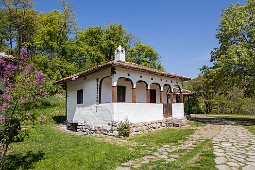 传统,房子,塞尔维亚