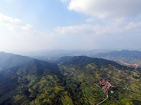 山东省日照市,航拍莒县龙山七彩梯田,色彩斑斓扮靓丰收季节