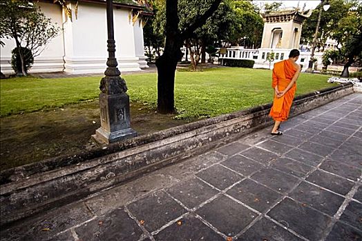 泰国,曼谷,玛哈泰寺,和尚,走,户外,庙宇