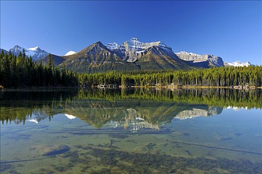 反射,落基山脉,赫伯特湖,班芙国家公园,艾伯塔省,加拿大,北美