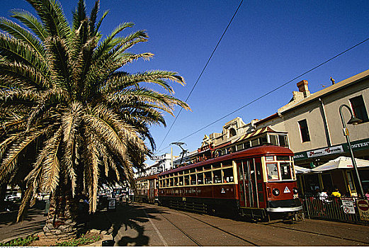 有轨电车,街上,阿德莱德市,澳洲南部,澳大利亚