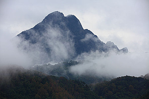 五指山风光