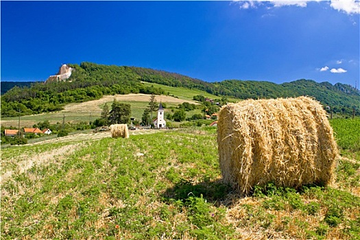 绿色,风景,地点,教堂