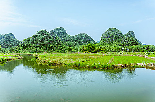 田园风光