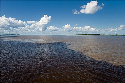 会面,水,亚马逊河,巴西