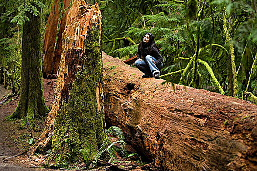 省立公园,温哥华岛,不列颠哥伦比亚省,加拿大,坐,女人,落下,树