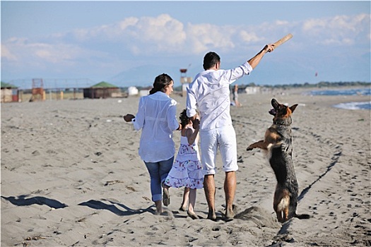 幸福之家,玩,狗,海滩