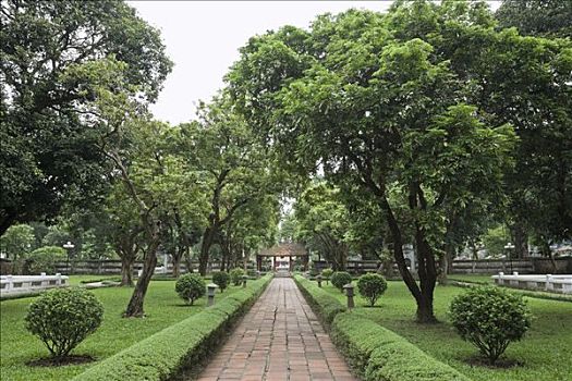 文庙,花园,河内,越南