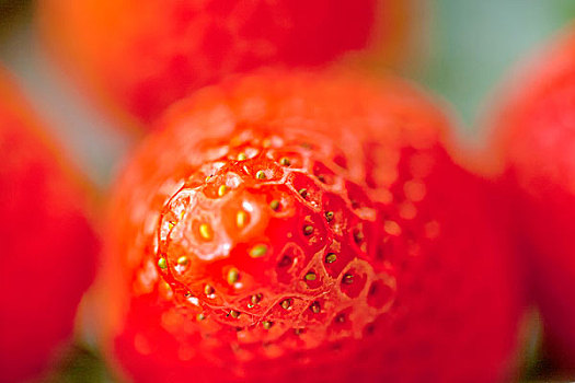红色新鲜草莓的特写