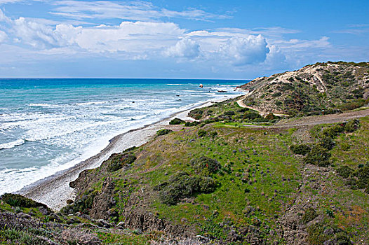 海岸,石头,阿芙罗狄蒂,塞浦路斯