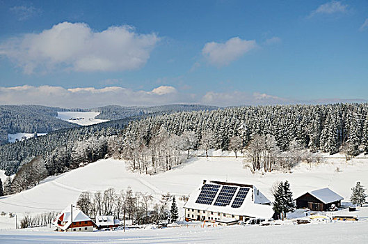 冬季风景,靠近,黑森林,德国