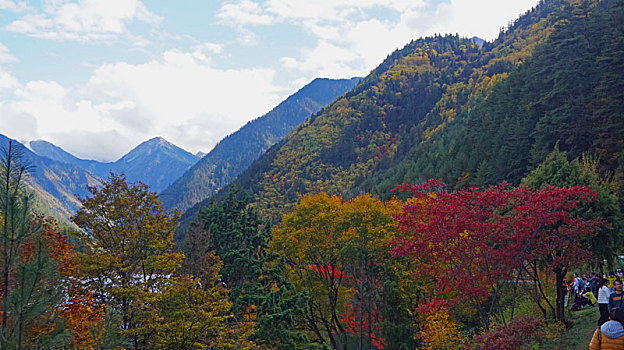 九寨沟风景之秋景