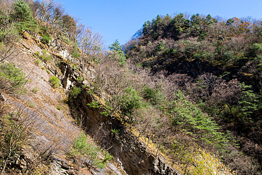 秦岭山秋景