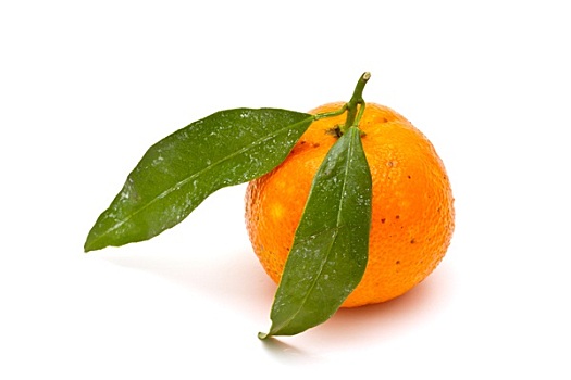 成熟,柑橘,白色背景,背景