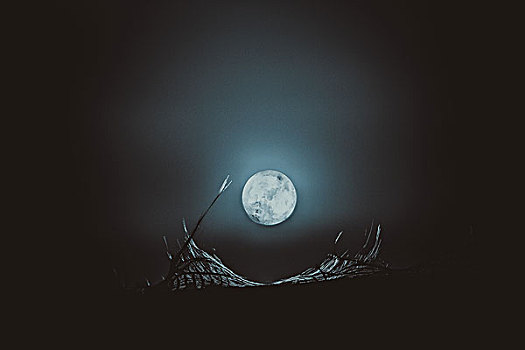 月升