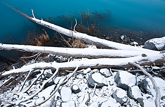 第一,雪,枝条,岸边,湖,楚加奇州立公园,阿拉斯加,冬天