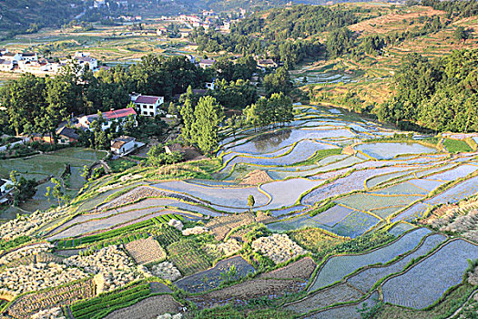 汉阴凤堰古梯田