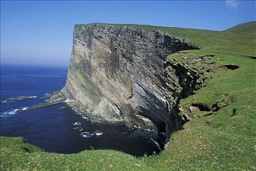 苏格兰,设得兰群岛,岛屿,悬崖