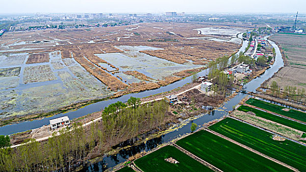 河北省保定市安新县比亚迪景色