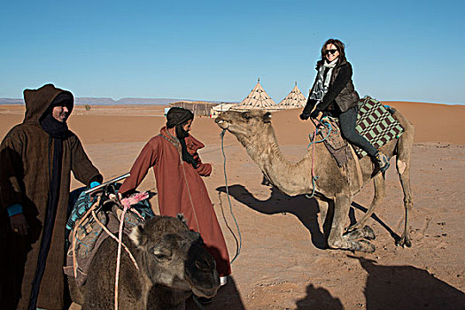 人,骆驼,沙漠,奢华,露营,撒哈拉沙漠,摩洛哥