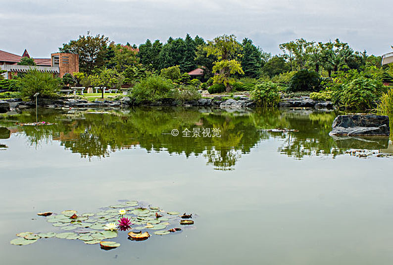 上海奉賢海灣國家森林公園影蛟盆景園