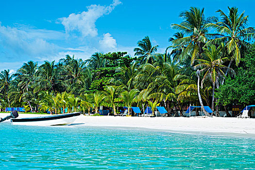 船,搁浅,加勒比,海滩,棕榈树,太阳,圣安德烈斯岛,岛屿,哥伦比亚