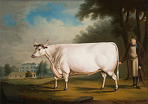 牛,艺术家