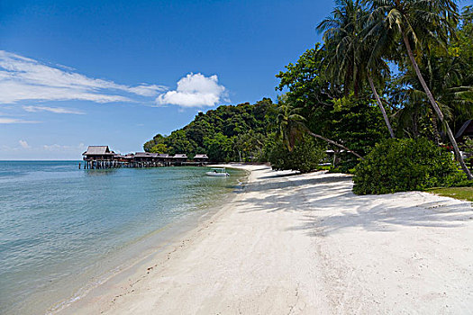 热带沙滩,帕劳,西海岸,马来西亚