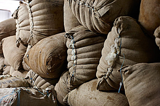 袋,绵羊,毛织品,安大略省,加拿大