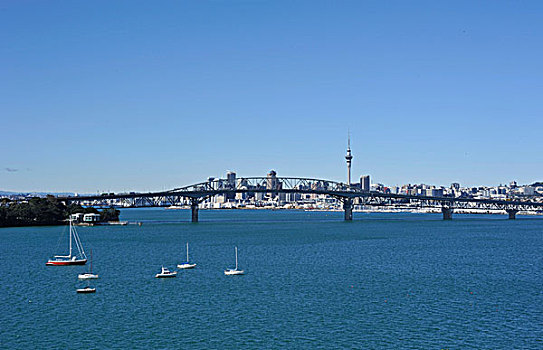 风景,港口,桥,天际线,摩天塔,奥克兰,新西兰