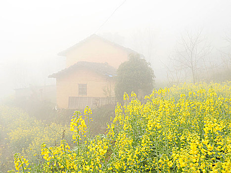 山村人家