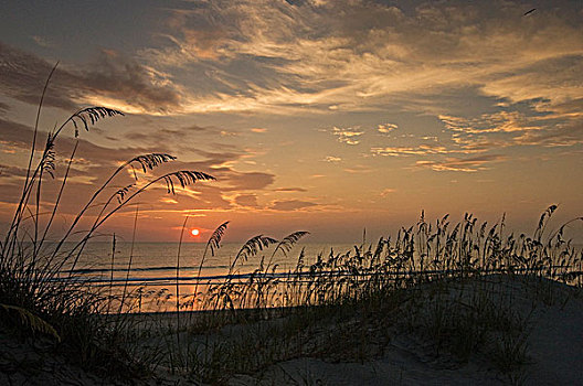 海滩,日落,小,岛屿,佛罗里达,美国