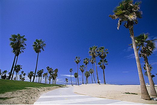 威尼斯海滩,加利福尼亚,美国