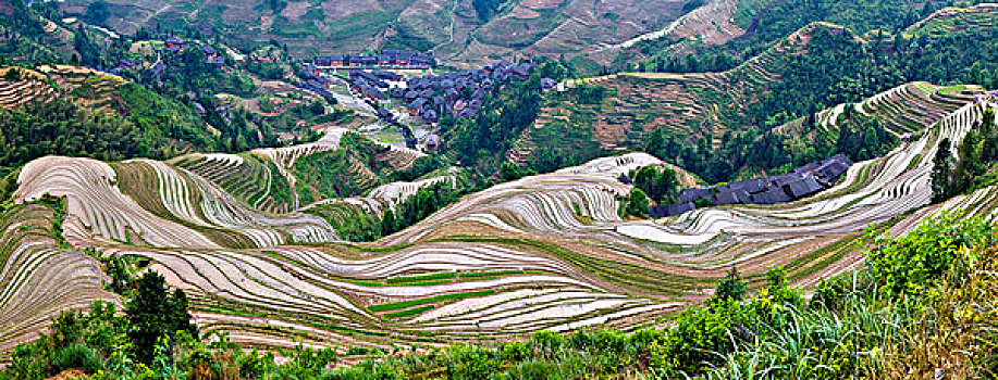 广西,桂林,龙脊,金坑,红瑶梯田,金佛顶