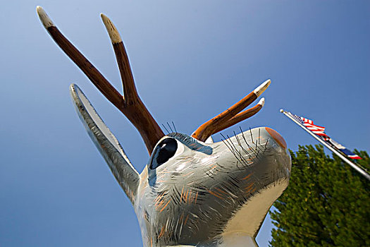 怀俄明,美国,雕塑,北美野兔,百年,广场