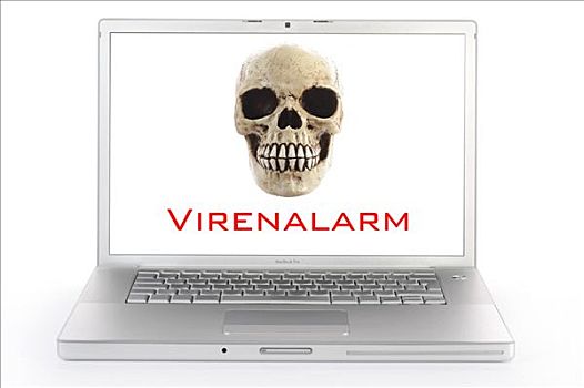 头骨,电脑屏幕,象征,病毒,警惕