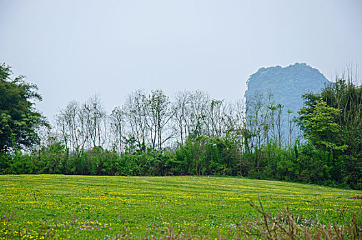 桂林田园风光