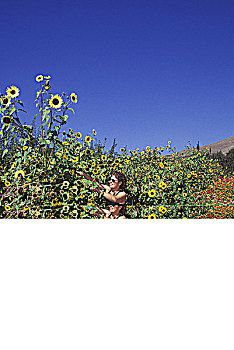 女人,摘花,果园,弗农,不列颠哥伦比亚省,加拿大