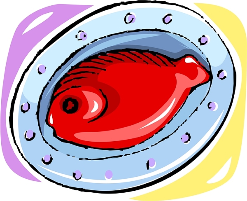 鱼食 卡通图片