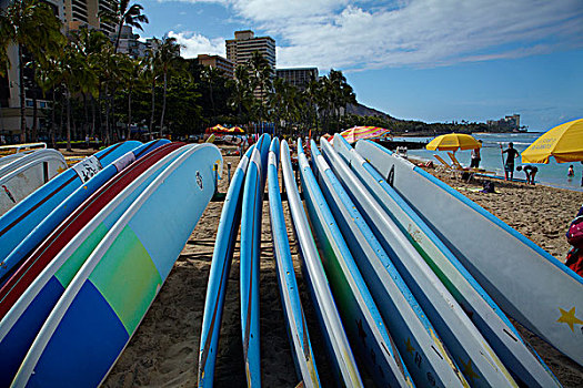 美国,夏威夷,瓦胡岛,檀香山,威基基海滩,冲浪板,租赁