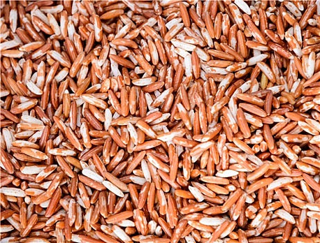 红米,谷物,背景